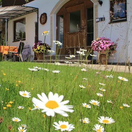 Haus Alice Зеефельд в Тироле